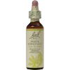 White Chestnut Bach Flower Remedy